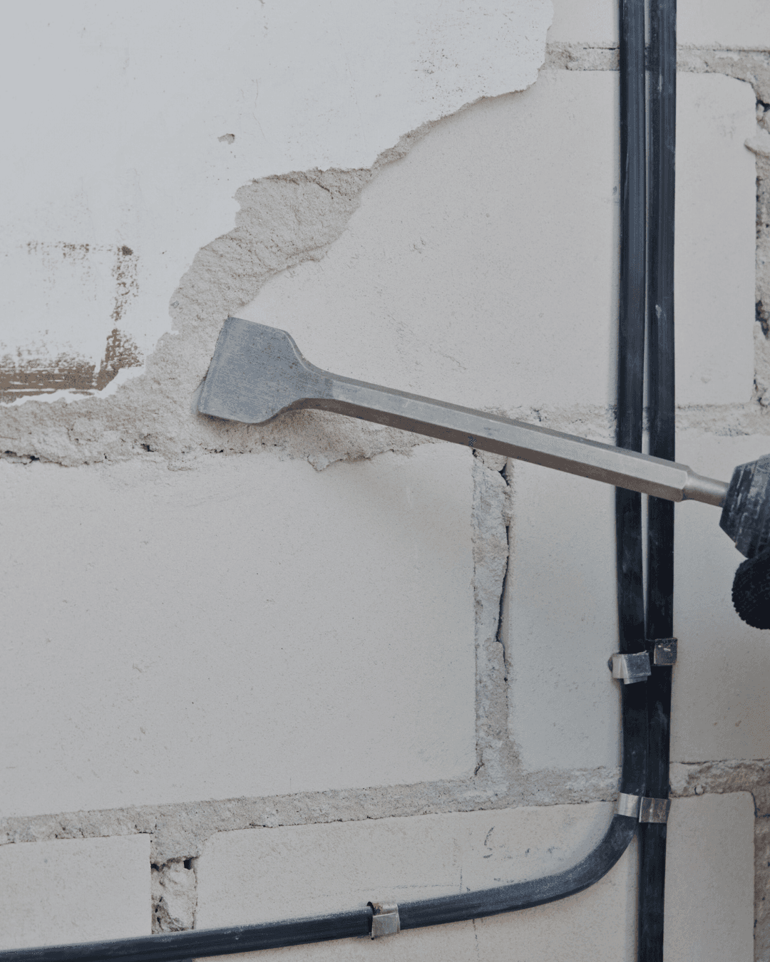 Service: Entkernung Bild